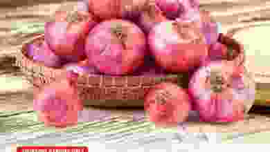 el3rod.com00001-661