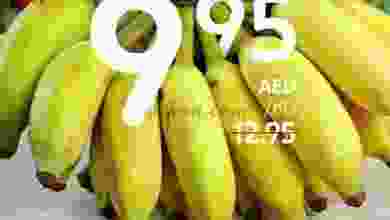 el3rod.com00001-829