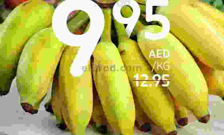 el3rod.com00001-829