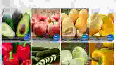 el3rod.com00002-486