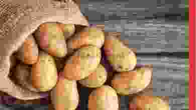 el3rod.com00005-130