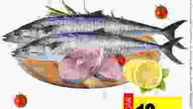 el3rod.com00001-1061