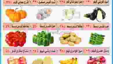 el3rod.com00001-1079