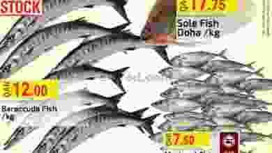 el3rod.com00001-1186