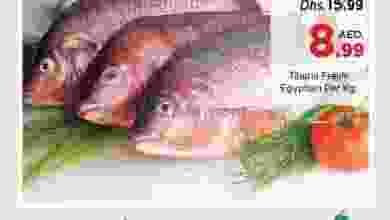 el3rod.com00001-443