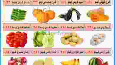 el3rod.com00001-497