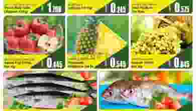 el3rod.com00001-508