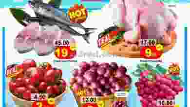 el3rod.com00001-510