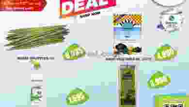 el3rod.com00001-527