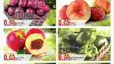 el3rod.com00001-536