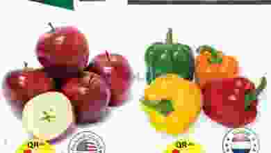 el3rod.com00001-552