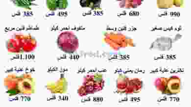 el3rod.com00001-564