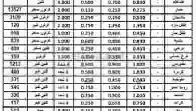 el3rod.com00001-566