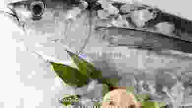 el3rod.com00001-592