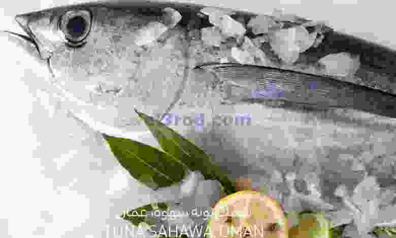 el3rod.com00001-592