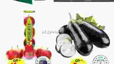 el3rod.com00001-639