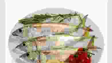 el3rod.com00001-769