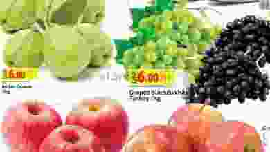 el3rod.com00001-775