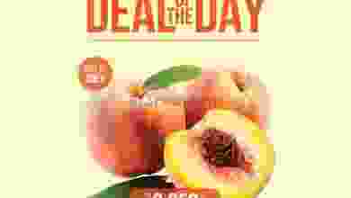 el3rod.com00001-831