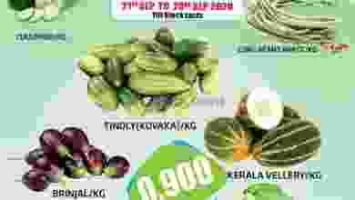el3rod.com00001-836