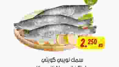 el3rod.com00001-84