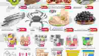 el3rod.com00002-620