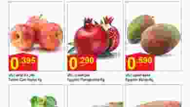 el3rod.com00002-867