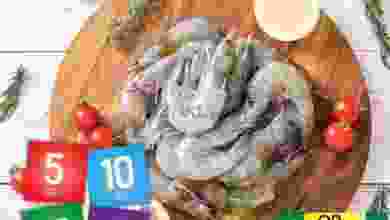 el3rod.com00009-164