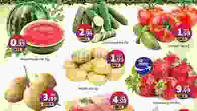 el3rod.com00012-168