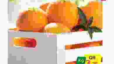 el3rod.com00001-107