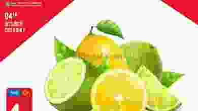 el3rod.com00001-113