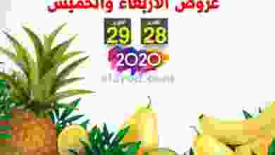 el3rod.com00001-1135