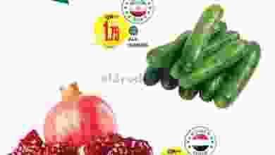 el3rod.com00001-1146