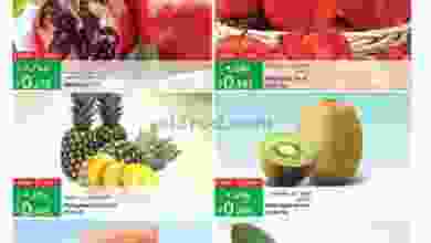 el3rod.com00001-1237