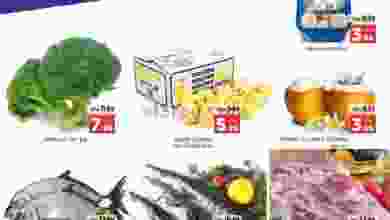el3rod.com00001-1267