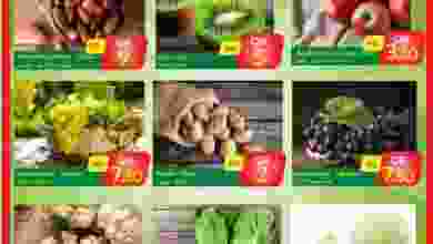el3rod.com00001-158