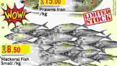 el3rod.com00001-221