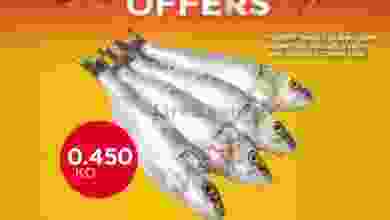 el3rod.com00001-344