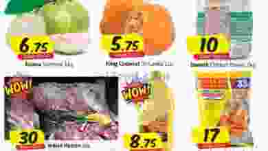 el3rod.com00001-399