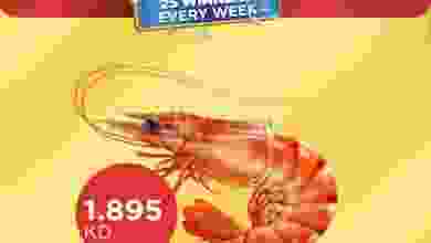 el3rod.com00001-610