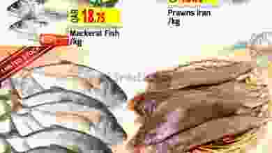 el3rod.com00001-622