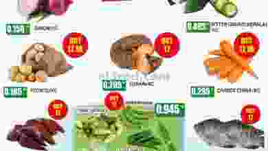 el3rod.com00001-627