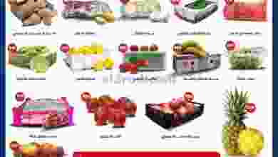 el3rod.com00001-647