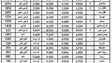 el3rod.com00001-651