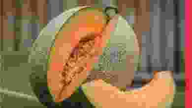 el3rod.com00001-660
