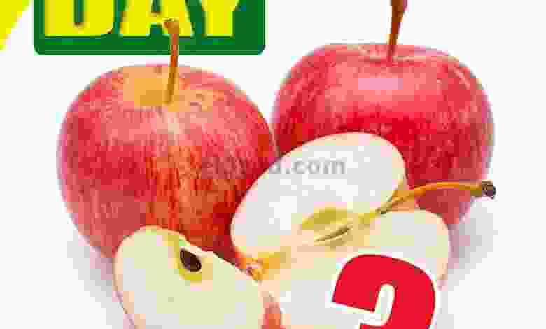el3rod.com00001-689