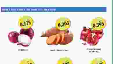 el3rod.com00001-702
