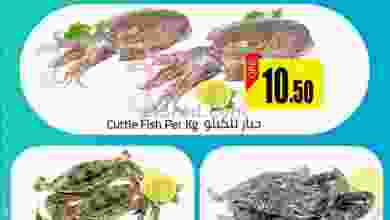 el3rod.com00001-730