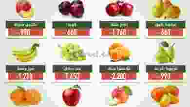 el3rod.com00001-781