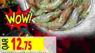 el3rod.com00001-842